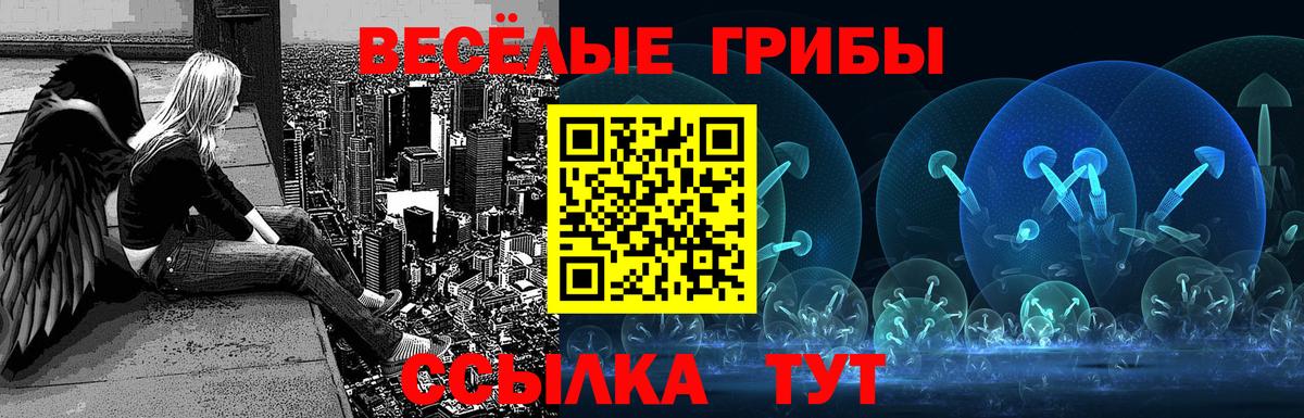 Уварово  Псилоцибиновые грибы Cubensis  цена наркотик  Вход с VPN 